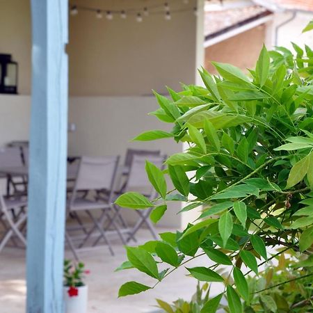 Clos Saint Sauveur - Guesthouse Au Coeur Des Vignes Sur Le Coteau Εξωτερικό φωτογραφία